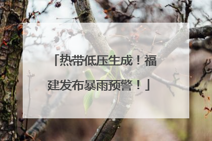 热带低压生成！福建发布暴雨预警！
