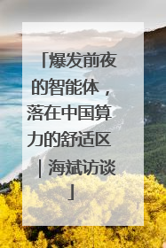 爆发前夜的智能体，落在中国算力的舒适区｜海斌访谈