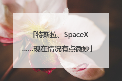特斯拉、SpaceX……现在情况有点微妙