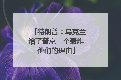 特朗普：乌克兰给了普京一个轰炸他们的理由