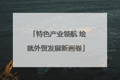 特色产业领航 绘就外贸发展新画卷