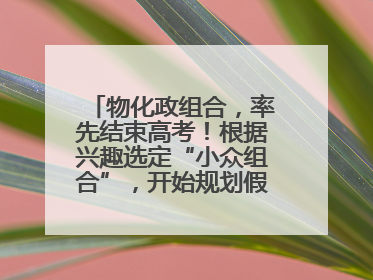 物化政组合，率先结束高考！根据兴趣选定“小众组合”，开始规划假期生活