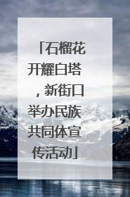 石榴花开耀白塔，新街口举办民族共同体宣传活动