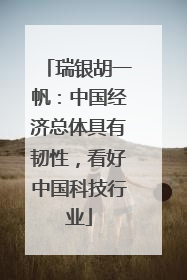 瑞银胡一帆：中国经济总体具有韧性，看好中国科技行业