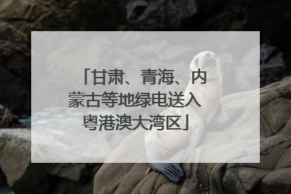 甘肃、青海、内蒙古等地绿电送入粤港澳大湾区