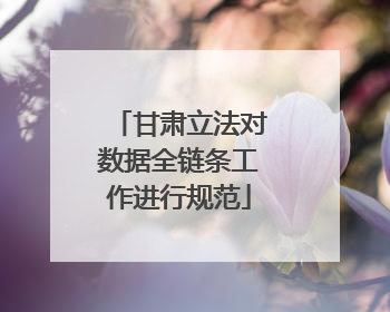 甘肃立法对数据全链条工作进行规范