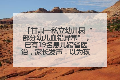 甘肃一私立幼儿园“部分幼儿血铅异常”，已有19名患儿跨省医治，家长发声：以为孩子出问题，没想过会与学校有关