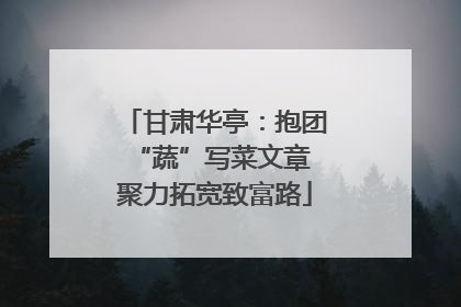 甘肃华亭：抱团“蔬”写菜文章 聚力拓宽致富路