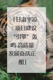 甘肃平凉：项目建设“引擎”轰鸣 高质量发展奋战正酣