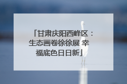 甘肃庆阳西峰区：生态画卷徐徐展 幸福底色日日新