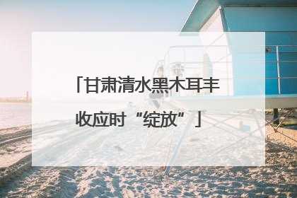 甘肃清水黑木耳丰收应时“绽放”