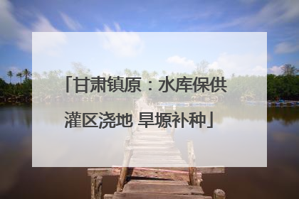甘肃镇原：水库保供 灌区浇地 旱塬补种