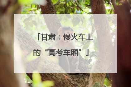 甘肃：慢火车上的“高考车厢”