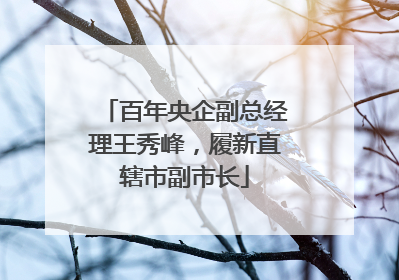 百年央企副总经理王秀峰，履新直辖市副市长
