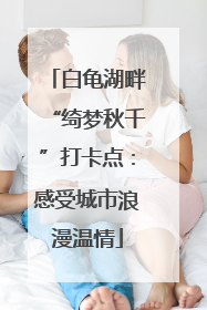 白龟湖畔“绮梦秋千”打卡点：感受城市浪漫温情
