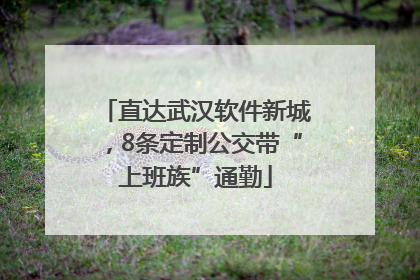 直达武汉软件新城，8条定制公交带“上班族”通勤