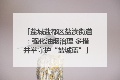 盐城盐都区盐渎街道：强化油烟治理 多措并举守护“盐城蓝”