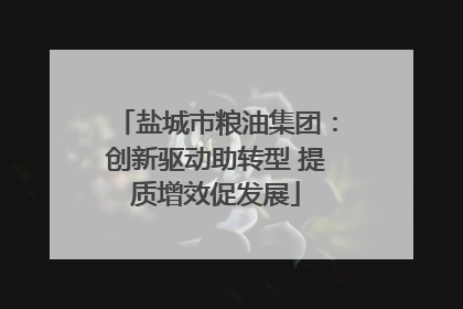 盐城市粮油集团：创新驱动助转型 提质增效促发展