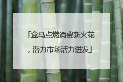 盒马点燃消费新火花，潜力市场活力迸发