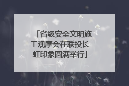 省级安全文明施工观摩会在联投长虹印象圆满举行
