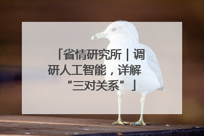 省情研究所｜调研人工智能，详解“三对关系”