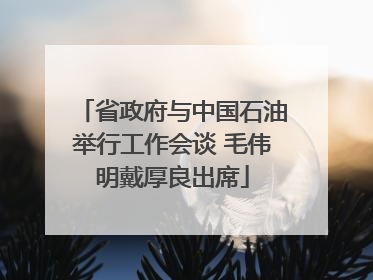 省政府与中国石油举行工作会谈 毛伟明戴厚良出席