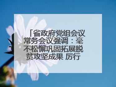 省政府党组会议常务会议强调：毫不松懈巩固拓展脱贫攻坚成果 厉行节约反对浪费弘扬优良作风