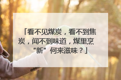 看不见煤炭，看不到焦炭，闻不到味道，煤里烹“新”何来滋味？
