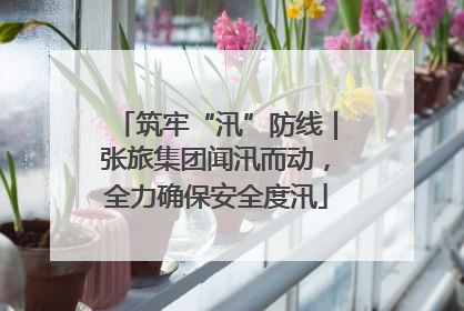 筑牢“汛”防线｜张旅集团闻汛而动，全力确保安全度汛