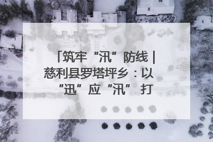 筑牢“汛”防线｜慈利县罗塔坪乡：以“迅”应“汛” 打赢暴雨防御战