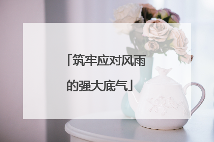 筑牢应对风雨的强大底气