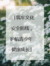 筑牢文化安全防线，护航青少年健康成长