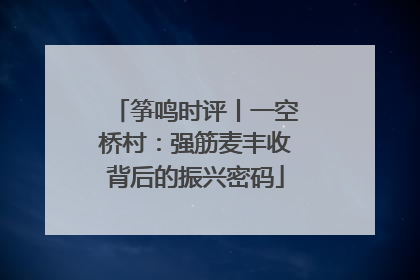 筝鸣时评丨一空桥村：强筋麦丰收背后的振兴密码