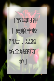 筝鸣时评丨夏粮丰收背后，是潍坊全城的守护