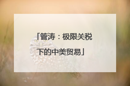 管涛：极限关税下的中美贸易