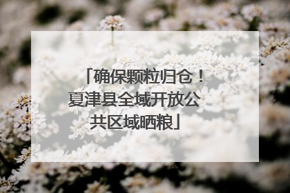 确保颗粒归仓！夏津县全域开放公共区域晒粮