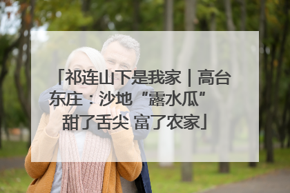 祁连山下是我家｜高台东庄：沙地“露水瓜” 甜了舌尖 富了农家