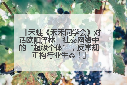 禾蛙《禾禾同学会》对话欧阳泽林：社交网络中的“超级个体”，反常规重构行业生态！
