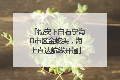 福安下白石宁海⇆市区金蛇头，海上直达航线开通