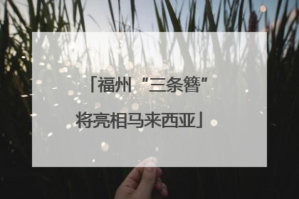 福州“三条簪”将亮相马来西亚