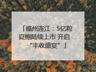 福州连江：5亿粒夏鲍陆续上市 开启“丰收盛宴”