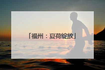 福州：夏荷绽放