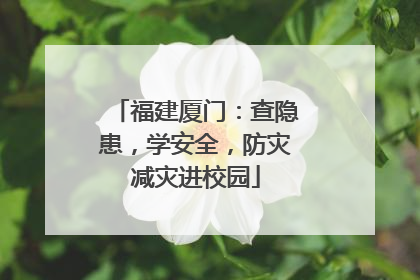 福建厦门：查隐患，学安全，防灾减灾进校园