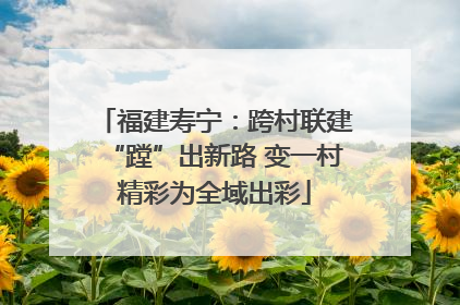 福建寿宁：跨村联建“蹚”出新路 变一村精彩为全域出彩