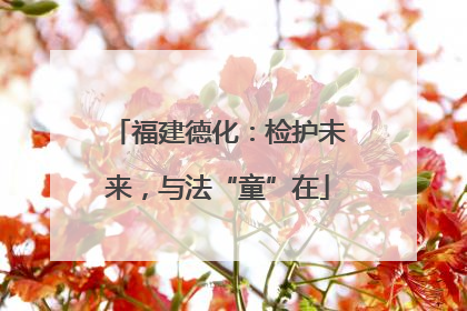 福建德化：检护未来，与法“童”在