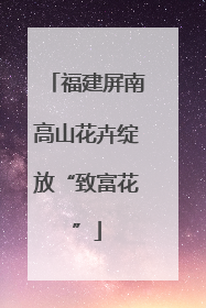 福建屏南高山花卉绽放“致富花”