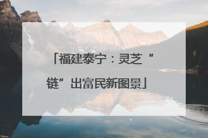 福建泰宁：灵芝“链”出富民新图景