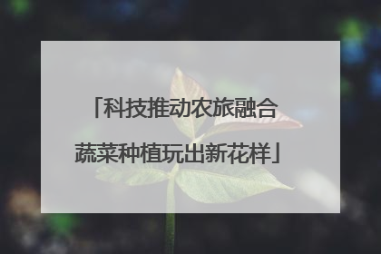 科技推动农旅融合 蔬菜种植玩出新花样