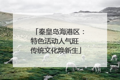 秦皇岛海港区：特色活动人气旺 传统文化焕新生