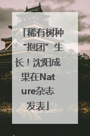 稀有树种“抱团”生长！沈阳成果在Nature杂志发表